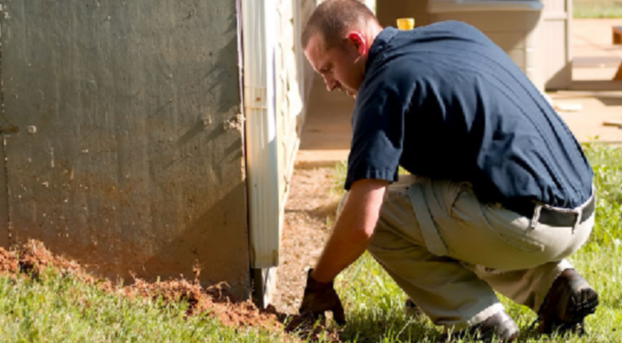 Exterminator examining home
